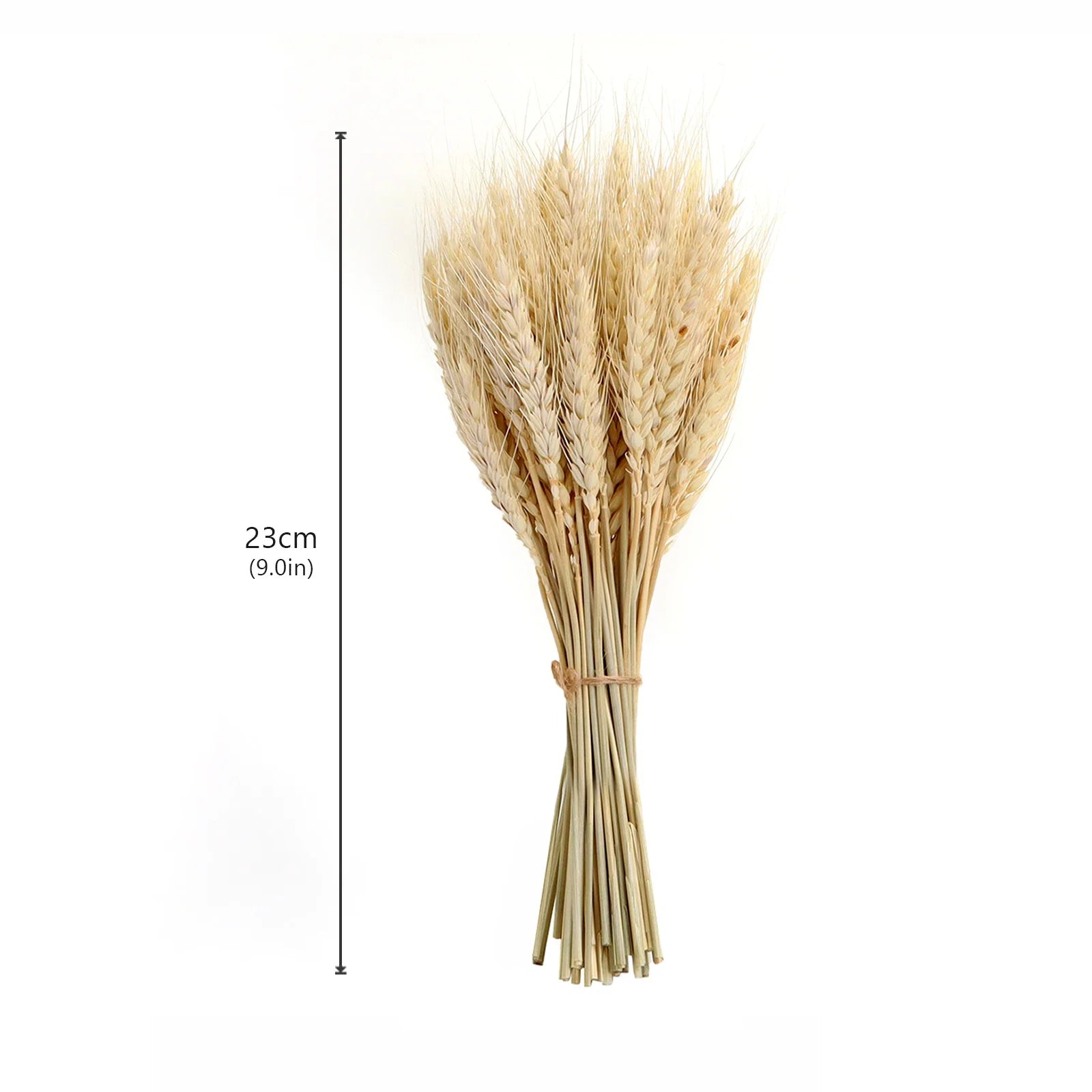 Dried Wheat Ear Artificial Flower Natural Wheat Pampas Grass Home Decoration